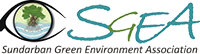 SEGA Logo